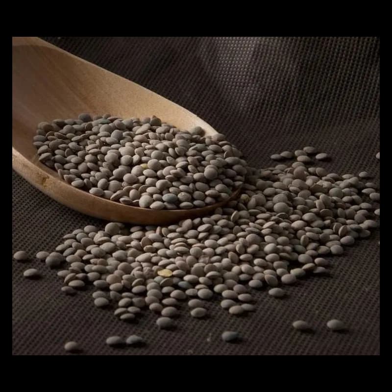 Lenteja Pardina